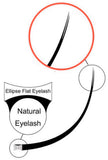 FLAT SHINNY LASHES 0.15mm (Largo 13mm a 15mm)
